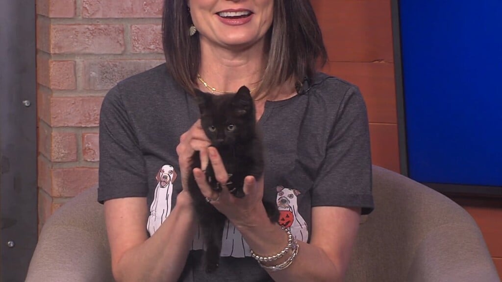 Pets Without Partners (shadow) 10/31/25