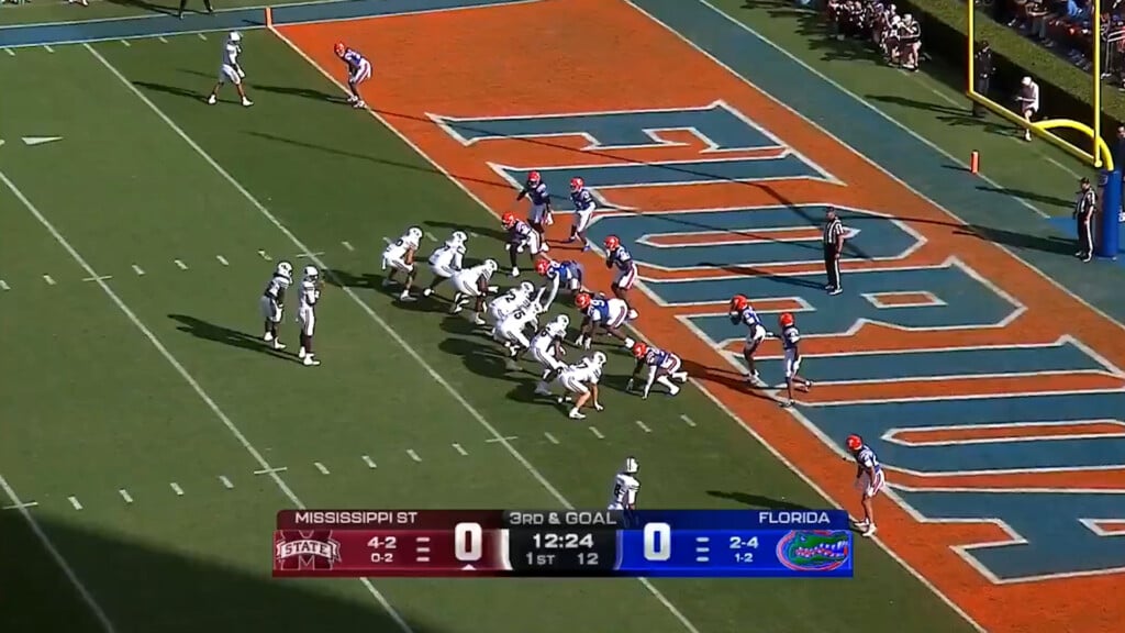 Msu Fl Img