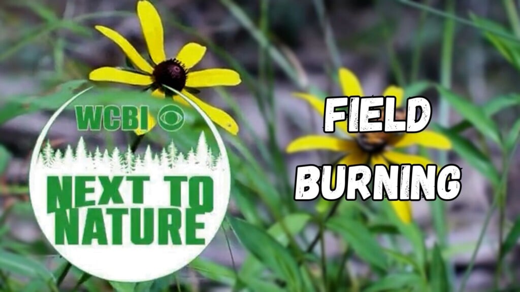 Next to Nature (Field Burning) - 10/22/2025