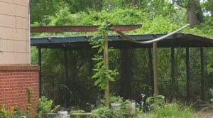 Columbus Interim City Planner presents demolition request for Blight Program