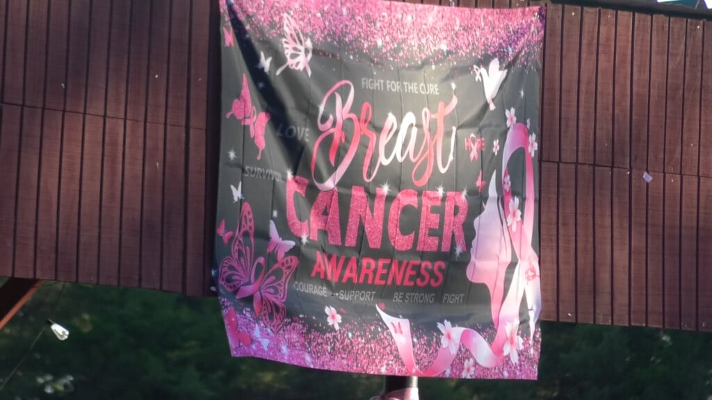 Breast Cancer Pic