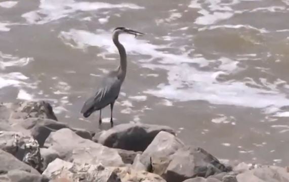 Several parks shutdown due to ongoing federal government shutdown