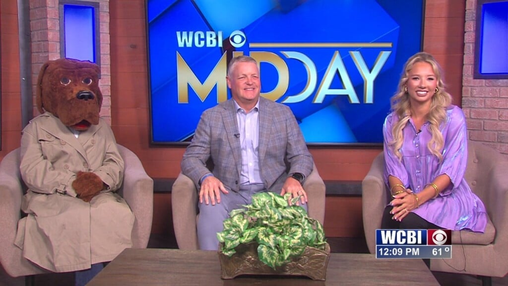 Midday (stay Safe On Halloween) 10/28/25