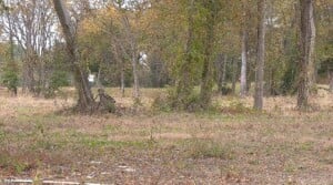 Nic Parish & Burns Group work to market home sites for Columbus Parkview development area