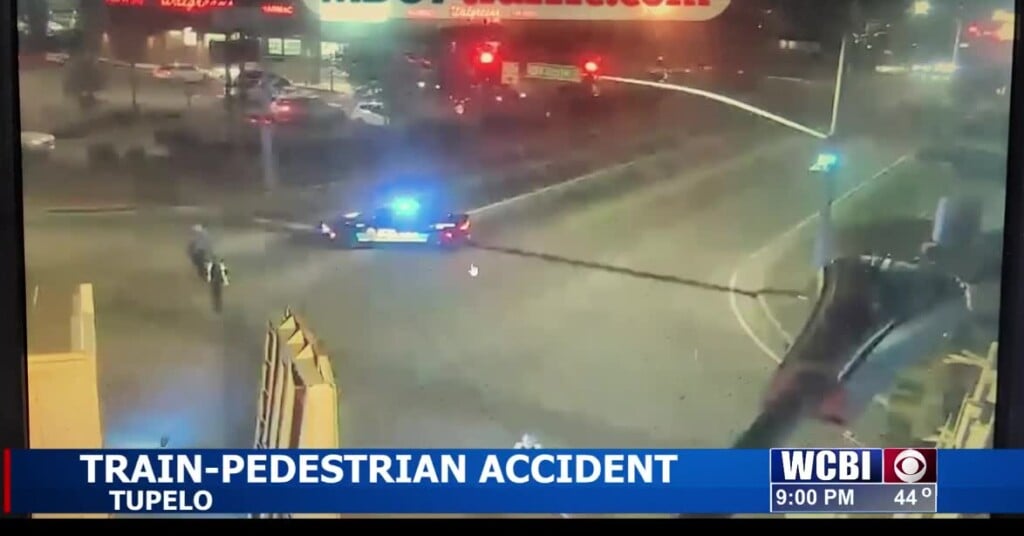 Pedestrian Hit By Train