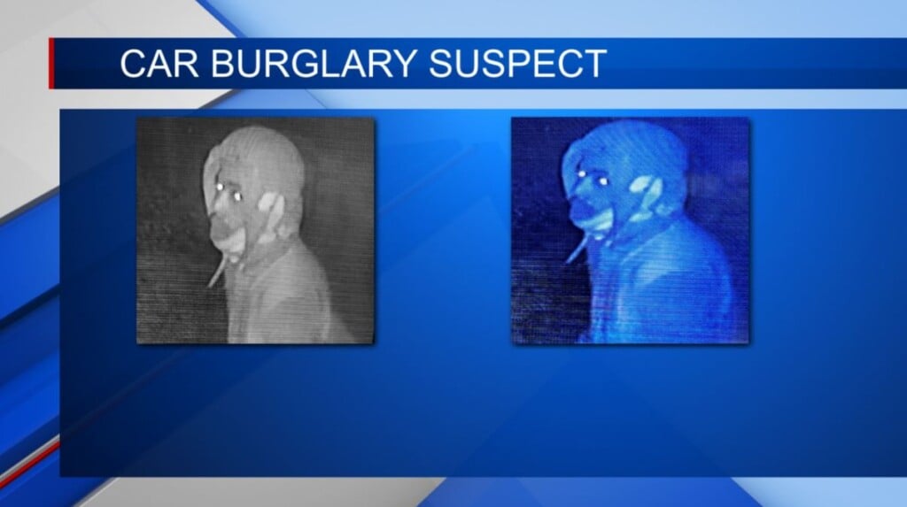 Police in search of a car burglary suspect in Winston Co.