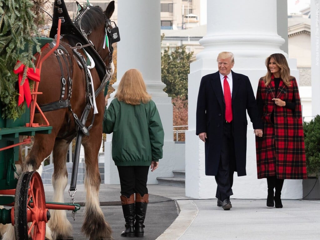 President Donald Trump and First Lady Melania Trump welcome this year's Christmas tree to the White House