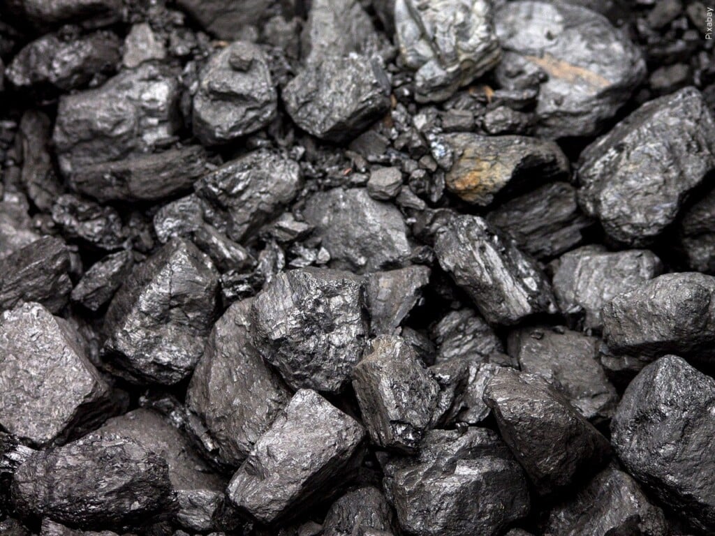 Coal