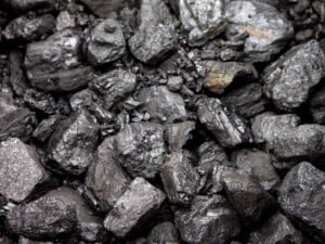 Coal
