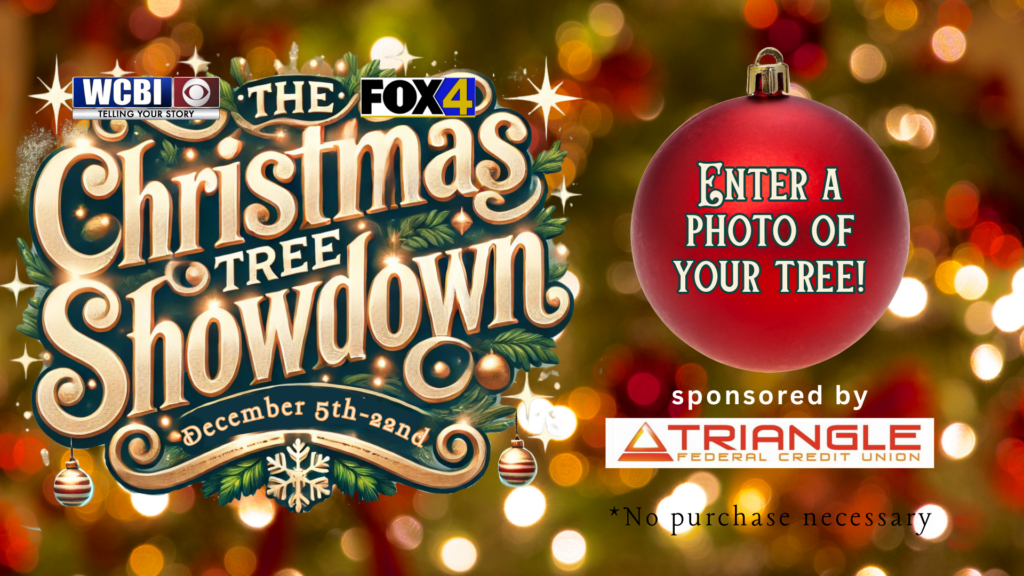 Christmas Tree Showdown 2025 Website