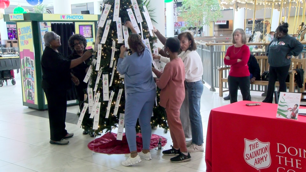 Vlcsnap 2025 11 17 20h35m33s329