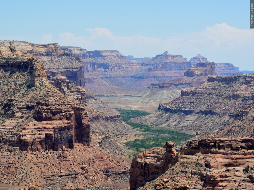 The Grand Canyon
