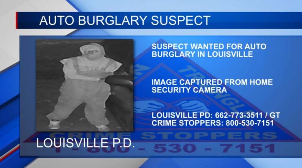 Police in search of a car burglary suspect in Louisville