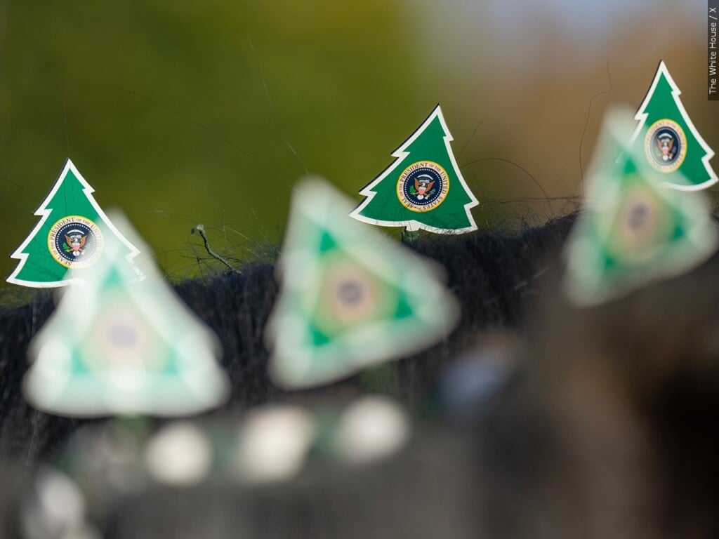 White House Christmas