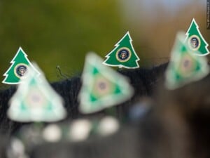 White House Christmas