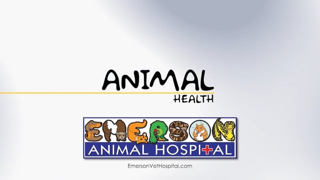 Animal Health 12/11/25