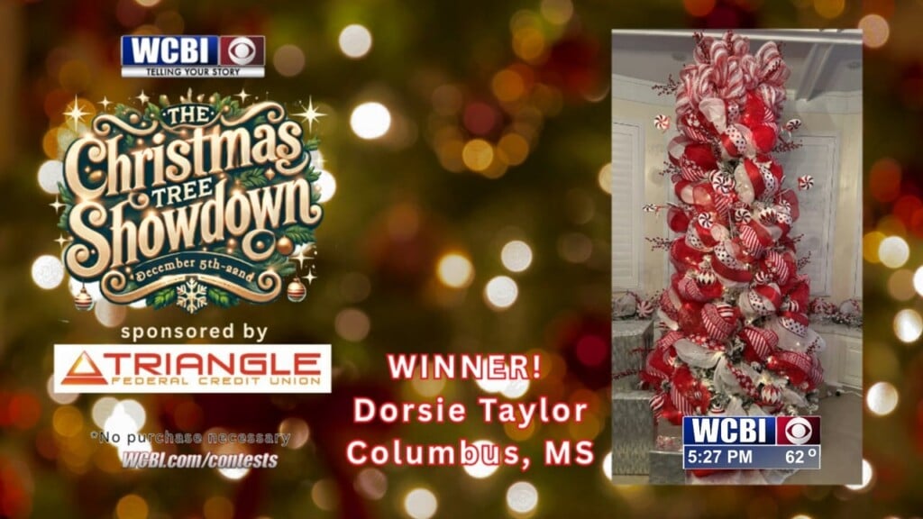 Wcbi Announces 2025 Christmas Tree Showdown Winner