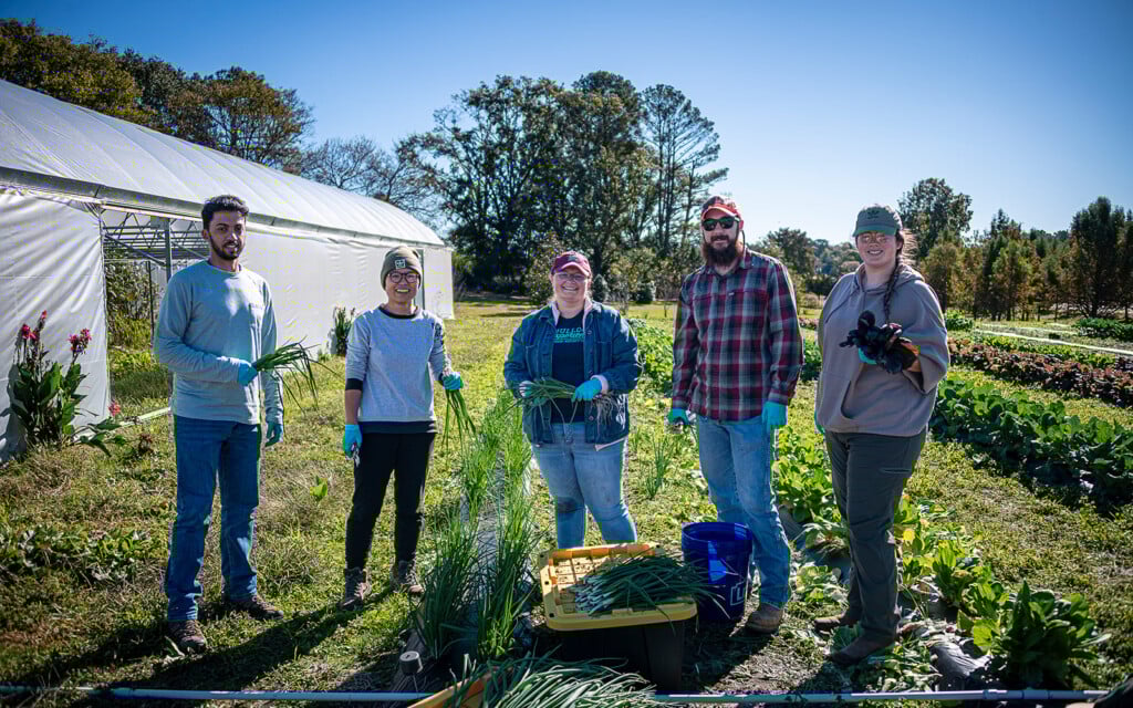Ali Alsughayyir, plant and soil sciences graduate student; Tongyin Li, associate professor; Colby Phillips, senior horticulture major and student worker for the farm; Jacob Arthur, plant and soil sciences graduate student and Abby Pennington, plant and soil sciences graduate student and farm manager.