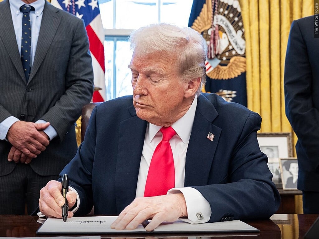 President Donald Trump