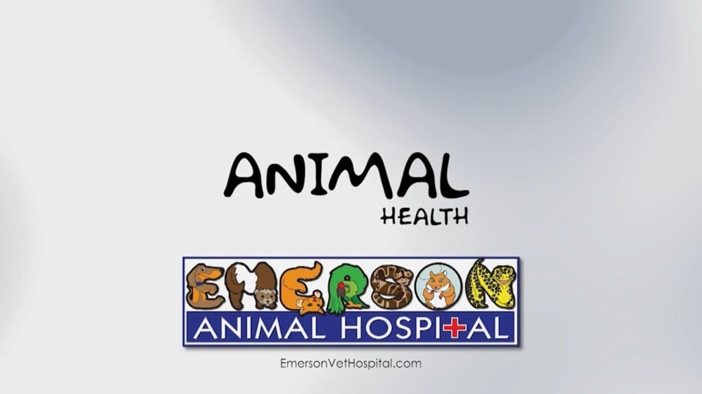 Animal Health (entropion) 12/18/25