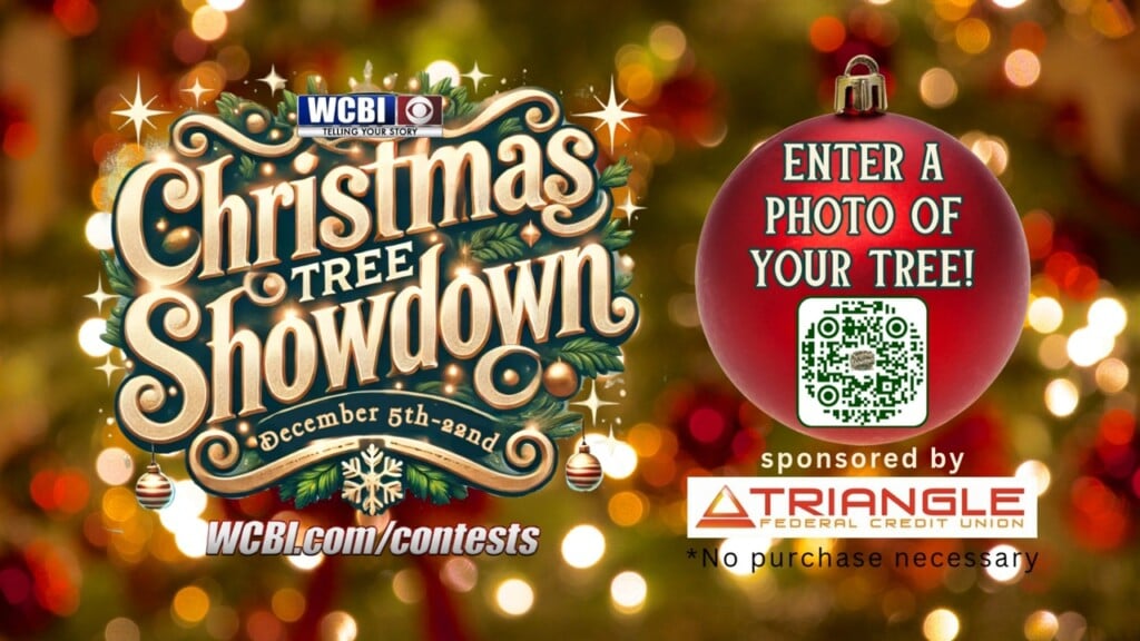 Christmas Tree Showdown 12/15/2025