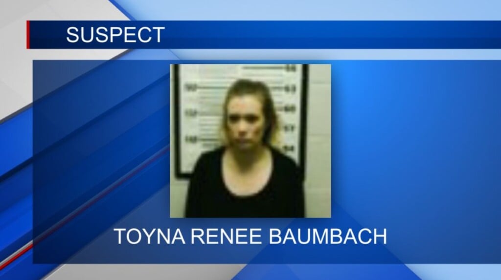 Gordo woman faces felony charge in Amory