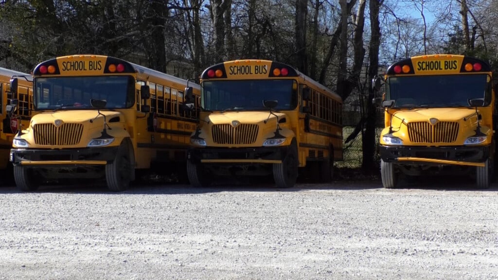 What is school choice?