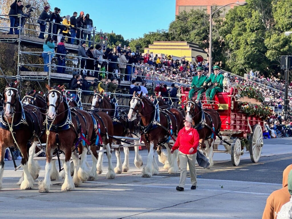 2026 Rose Parade