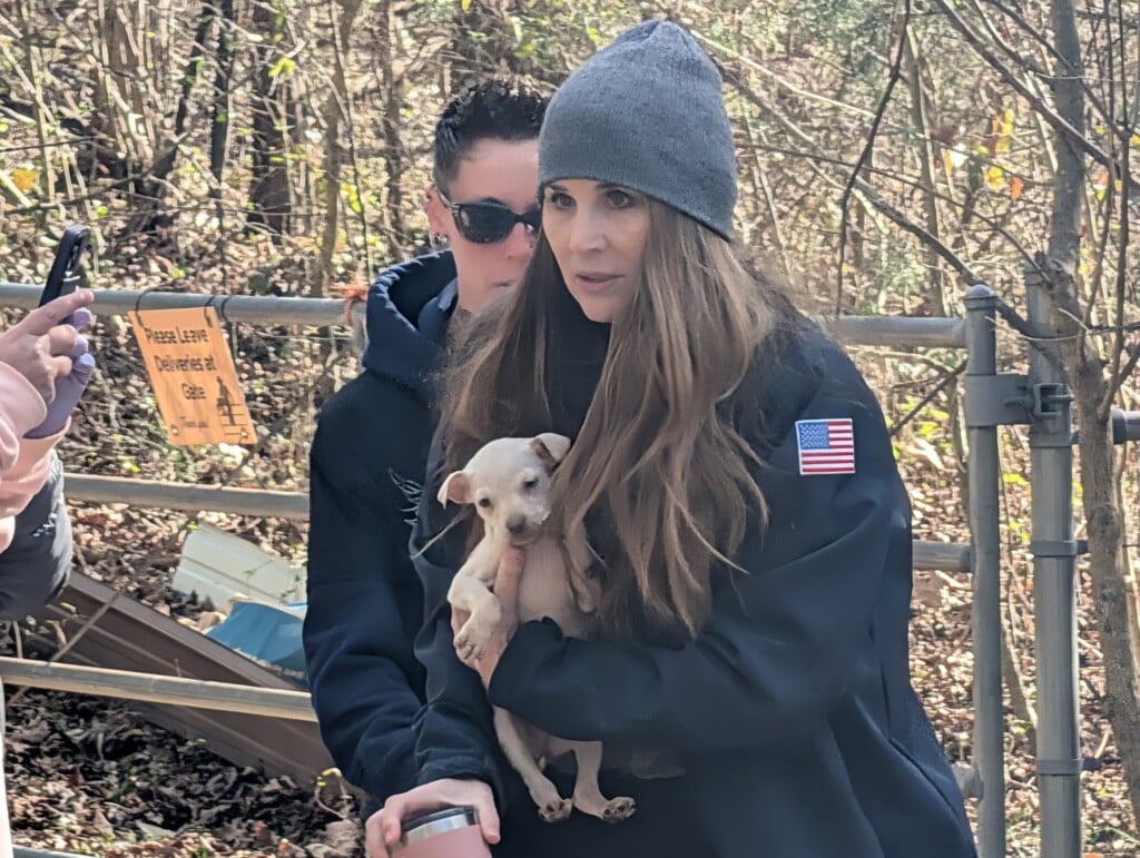 Animal welfare groups from across the country help with neglect case in Lee County