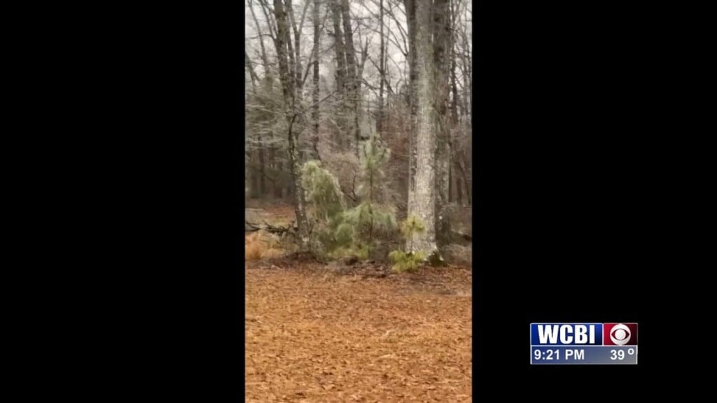 Winter Weather Update (kealy Shields) 01/24/26