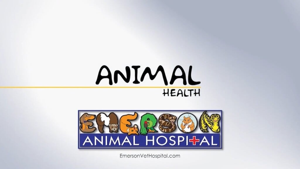 Animal Health (bonding With You Pet) 01/29/26