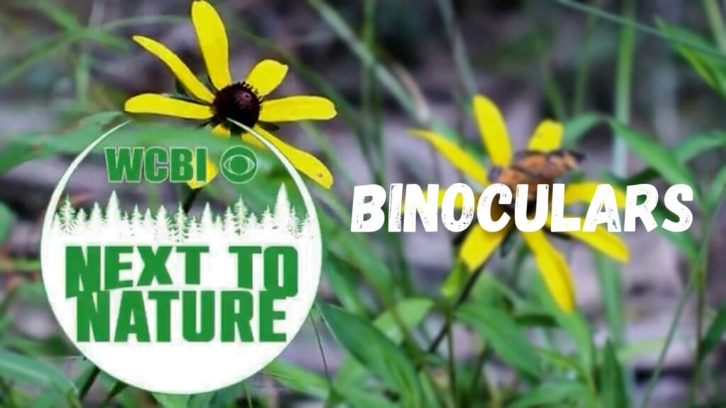 Next to Nature (Binoculars) – 01/28/26