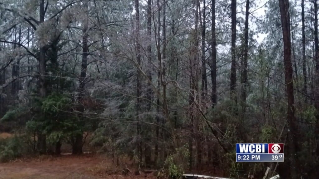 Choctaw Co. Winter Weather Update (lakeadra Coffee) 01/24/26