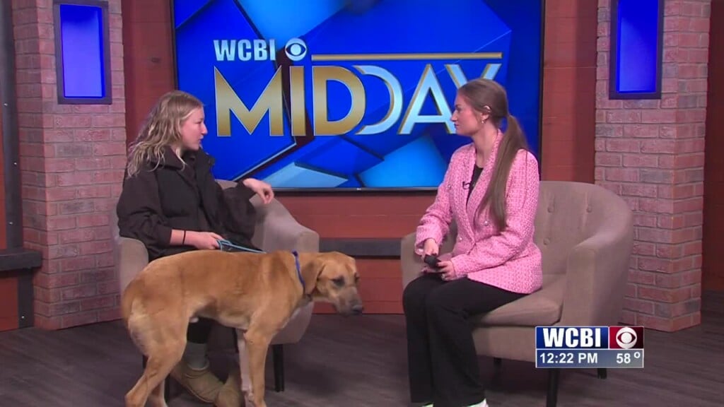 Pets Without Partners (north) 01/02/26