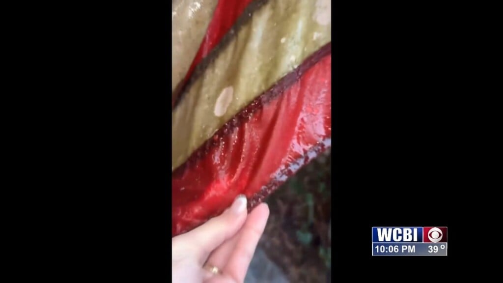 Winter Weather Update (kealy Shields) 01/24/26