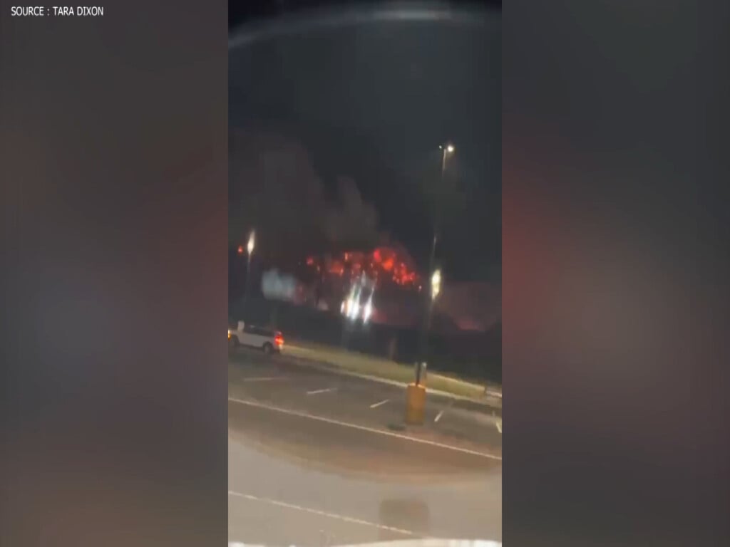 Sequence 0300 00 00 00still003