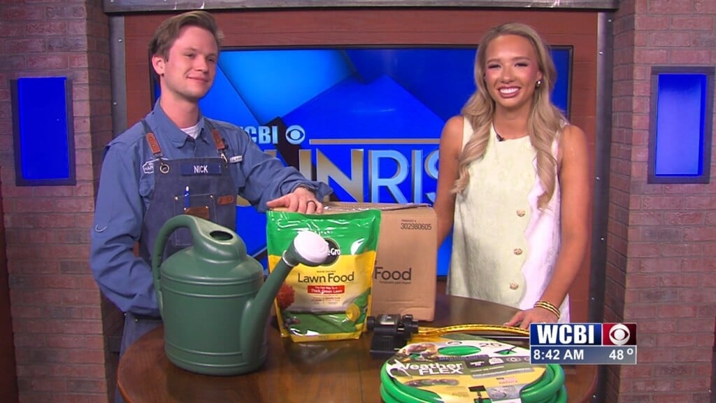 What You Need To Know Wednesday 02/25/36