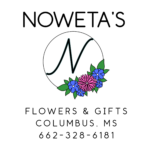 Nowetas Logo With Background