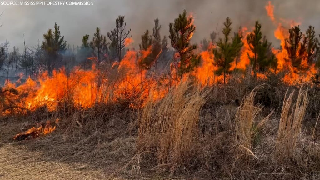 S Amite County Fire Vo 02 21 2600 00 00 00still001