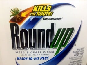 Roundup Weed Killer