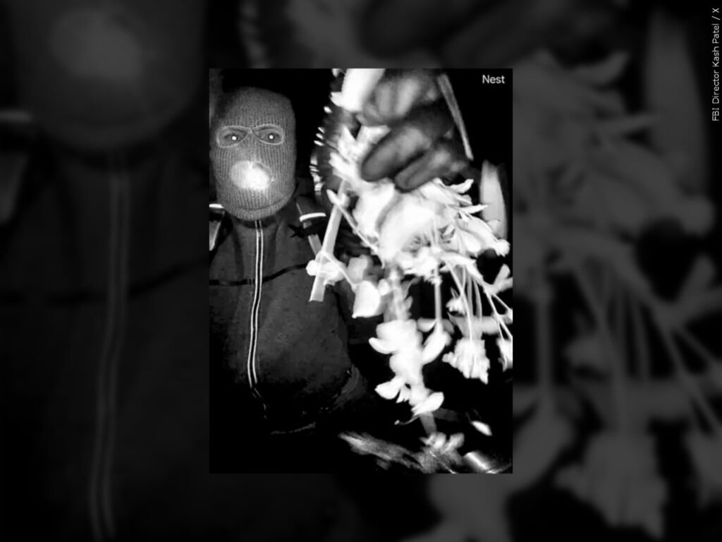 Suspect on Guthrie surveillance camera