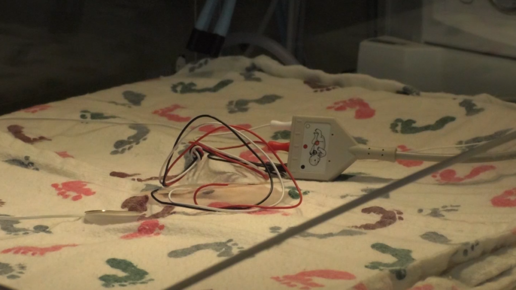 MDHS aims to combat infant mortality