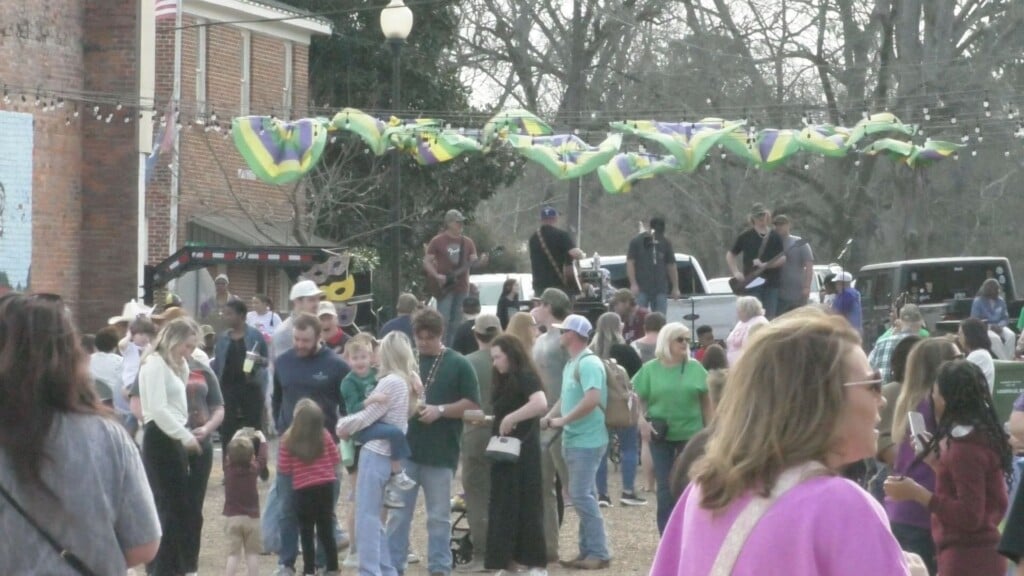 Su Noxapater Mardi Gras Picture
