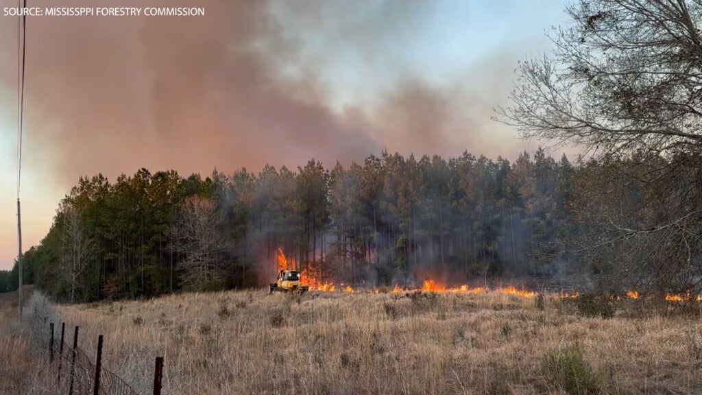 Su Pearl River County Wildfire Vo00 00 00 00still001