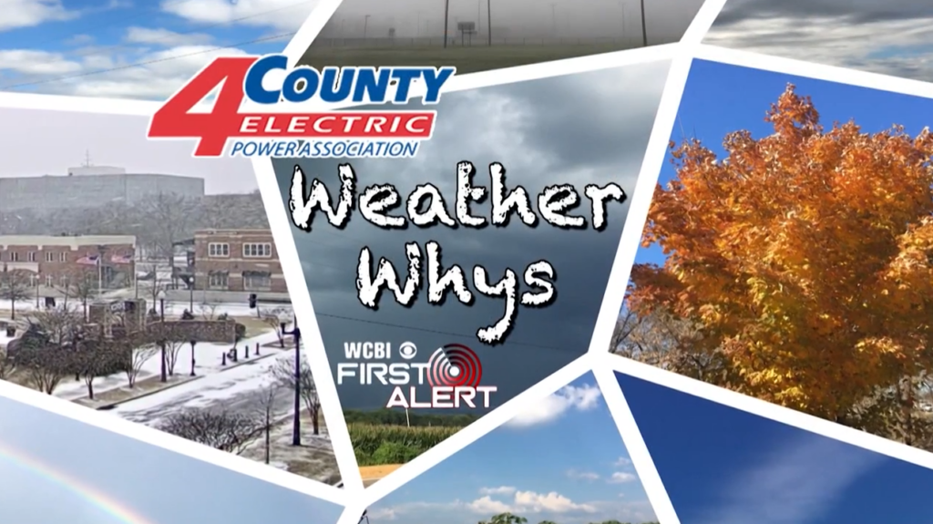 Weather Whys Rip Currents