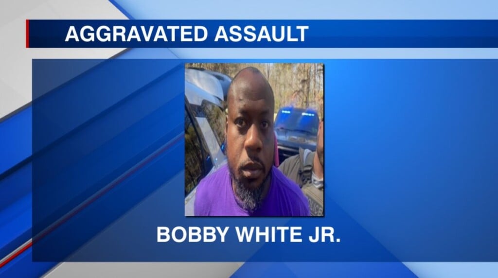Man arrested for Aggravated Assault on an officer in Winston Co.