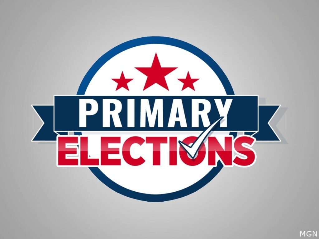 Primary Elections