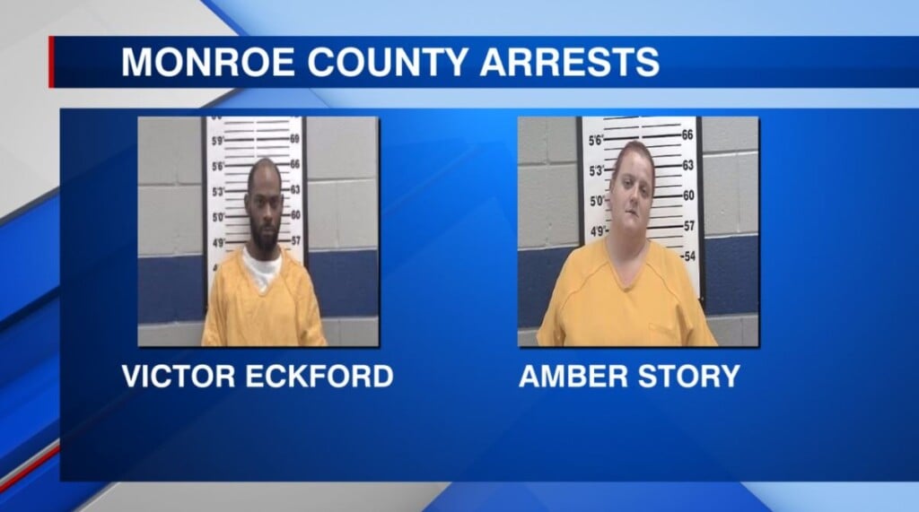 Two people face multiple charges in Monroe County