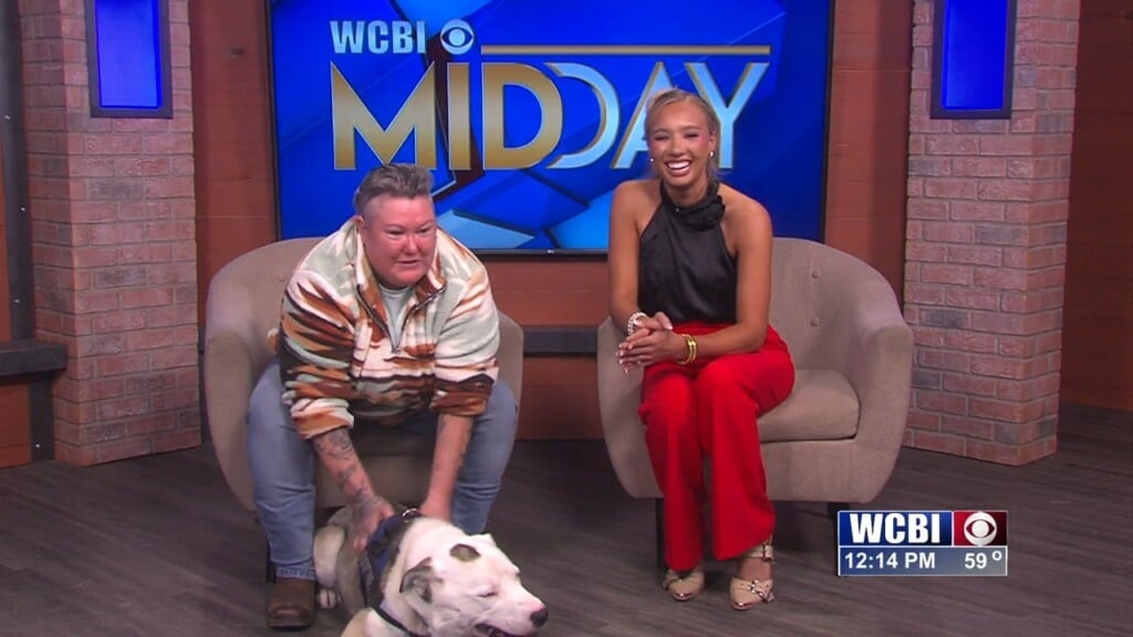 Pets Without Partners (rocky) 03/13/26