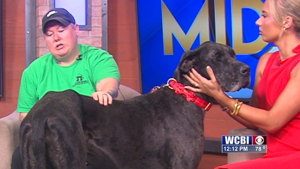 Pets Without Partners (dana) 03/27/26